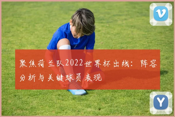聚焦荷兰队2022世界杯出线：阵容分析与关键球员表现
