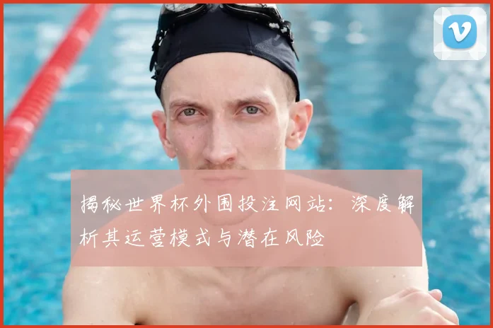 揭秘世界杯外围投注网站：深度解析其运营模式与潜在风险