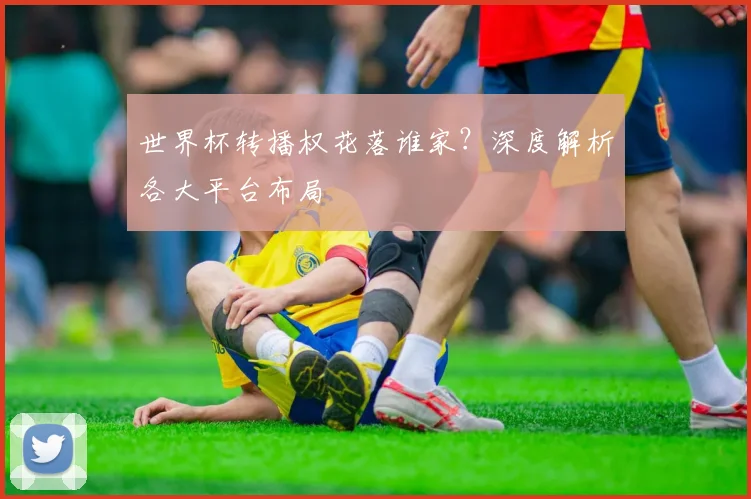 世界杯转播权花落谁家?深度解析各大平台布局