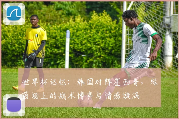 世界杯记忆：韩国对阵墨西哥，绿茵场上的战术博弈与情感漩涡