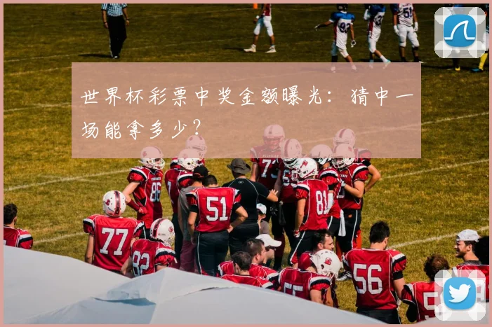 世界杯彩票中奖金额曝光：猜中一场能拿多少？