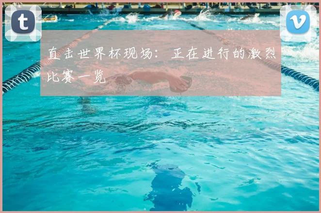直击世界杯现场:正在进行的激烈比赛一览