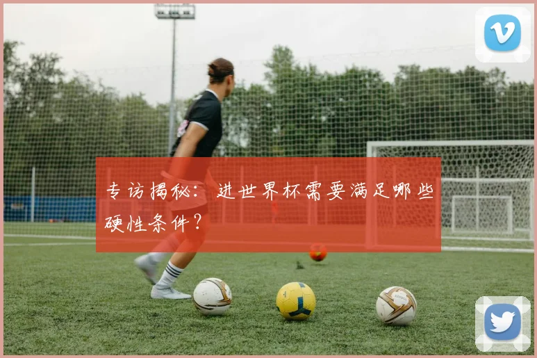 专访揭秘:进世界杯需要满足哪些硬性条件?