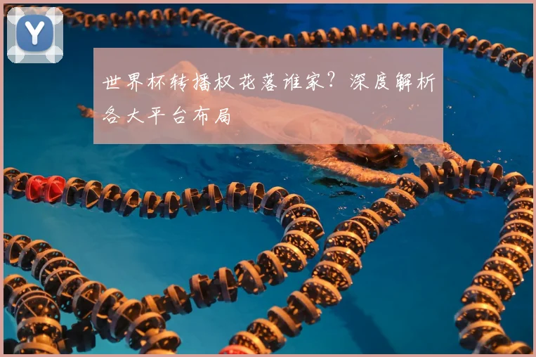 世界杯转播权花落谁家?深度解析各大平台布局